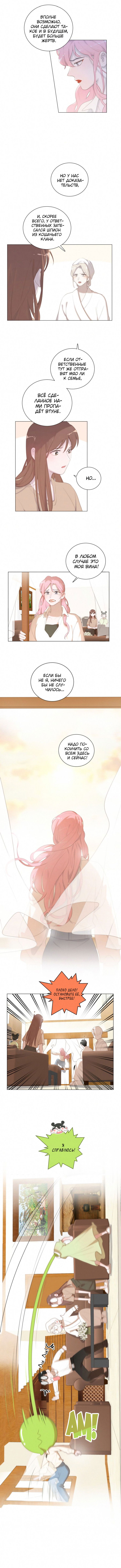 Манга Кошачий мир - Глава 54 Страница 5