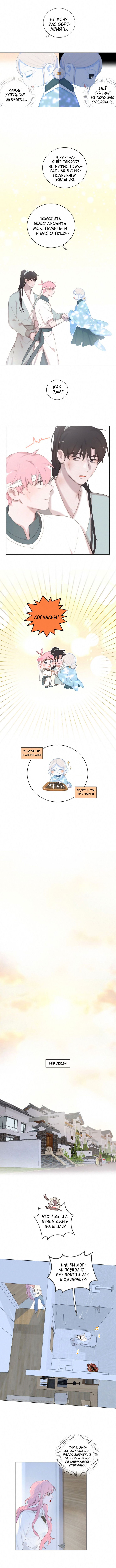 Манга Кошачий мир - Глава 53 Страница 5