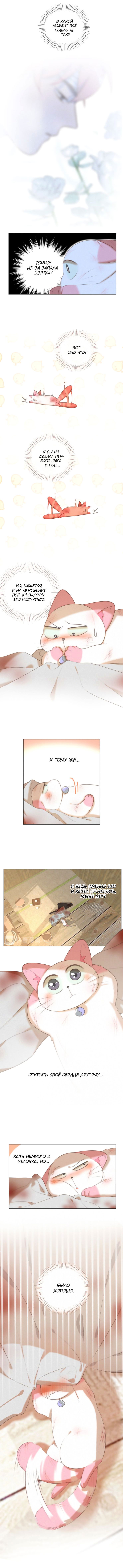 Манга Кошачий мир - Глава 50 Страница 6