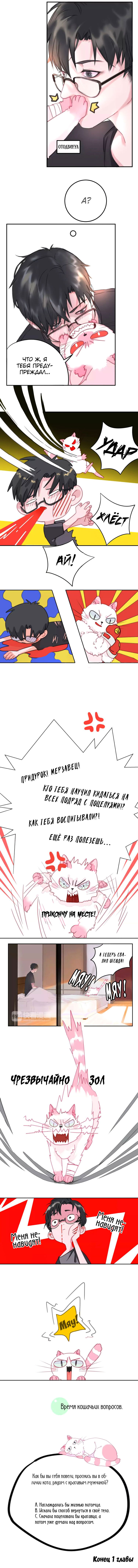 Манга Кошачий мир - Глава 1 Страница 5