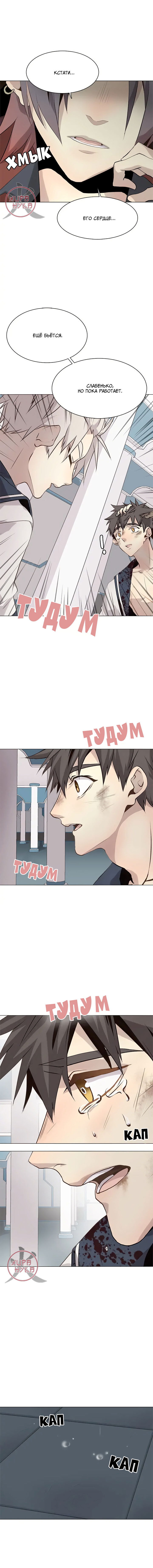 Манга Дикий Город - Глава 116 Страница 5