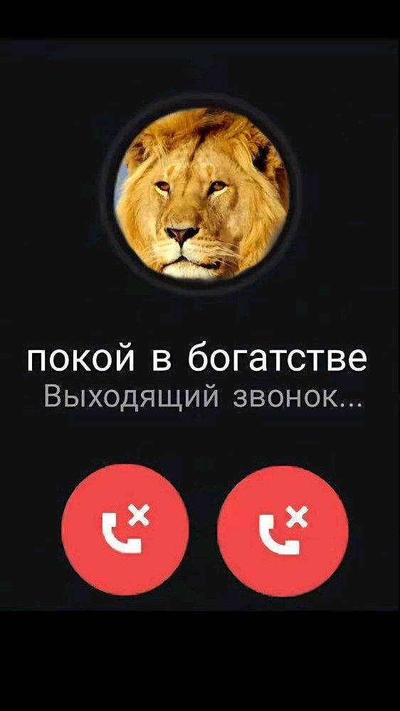 Манга Упрощенный SCP - Глава 245 Страница 5