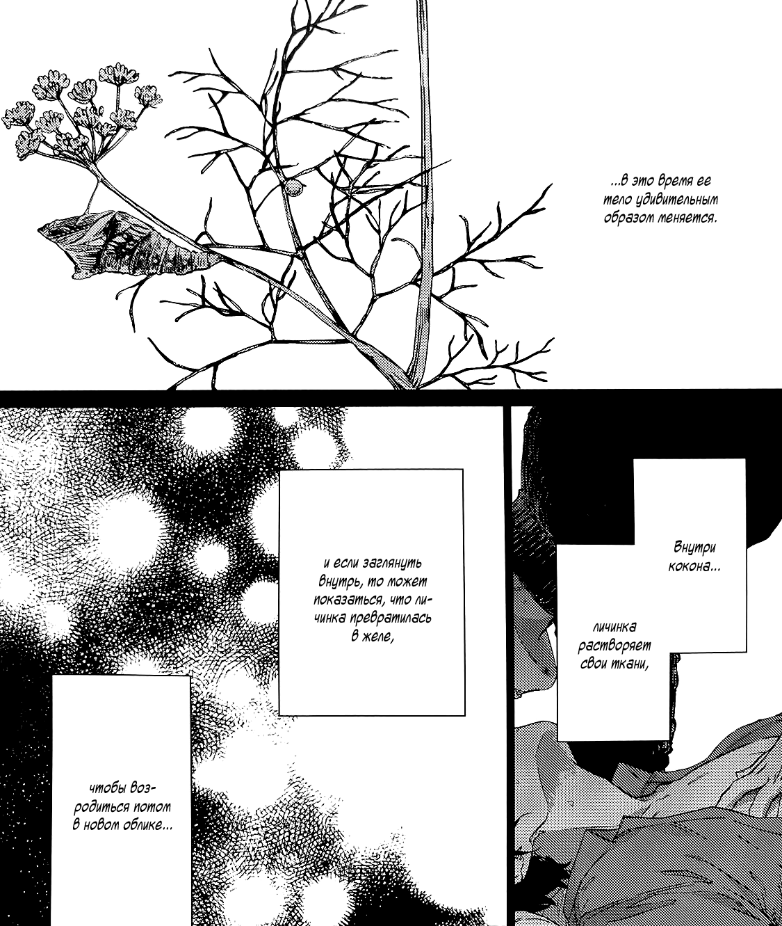 Манга Дарованный - Глава 47.6 Страница 8