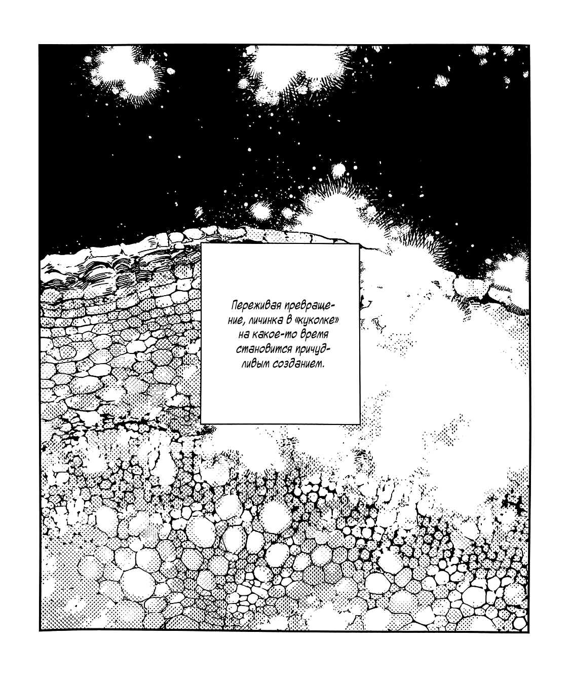 Манга Дарованный - Глава 47.6 Страница 3