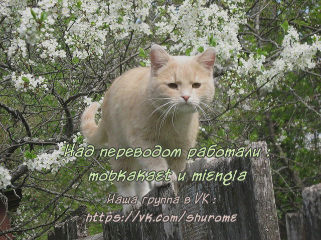 Манга Преступление и наказание. Сфальсифицированный роман - Глава 84 Страница 19
