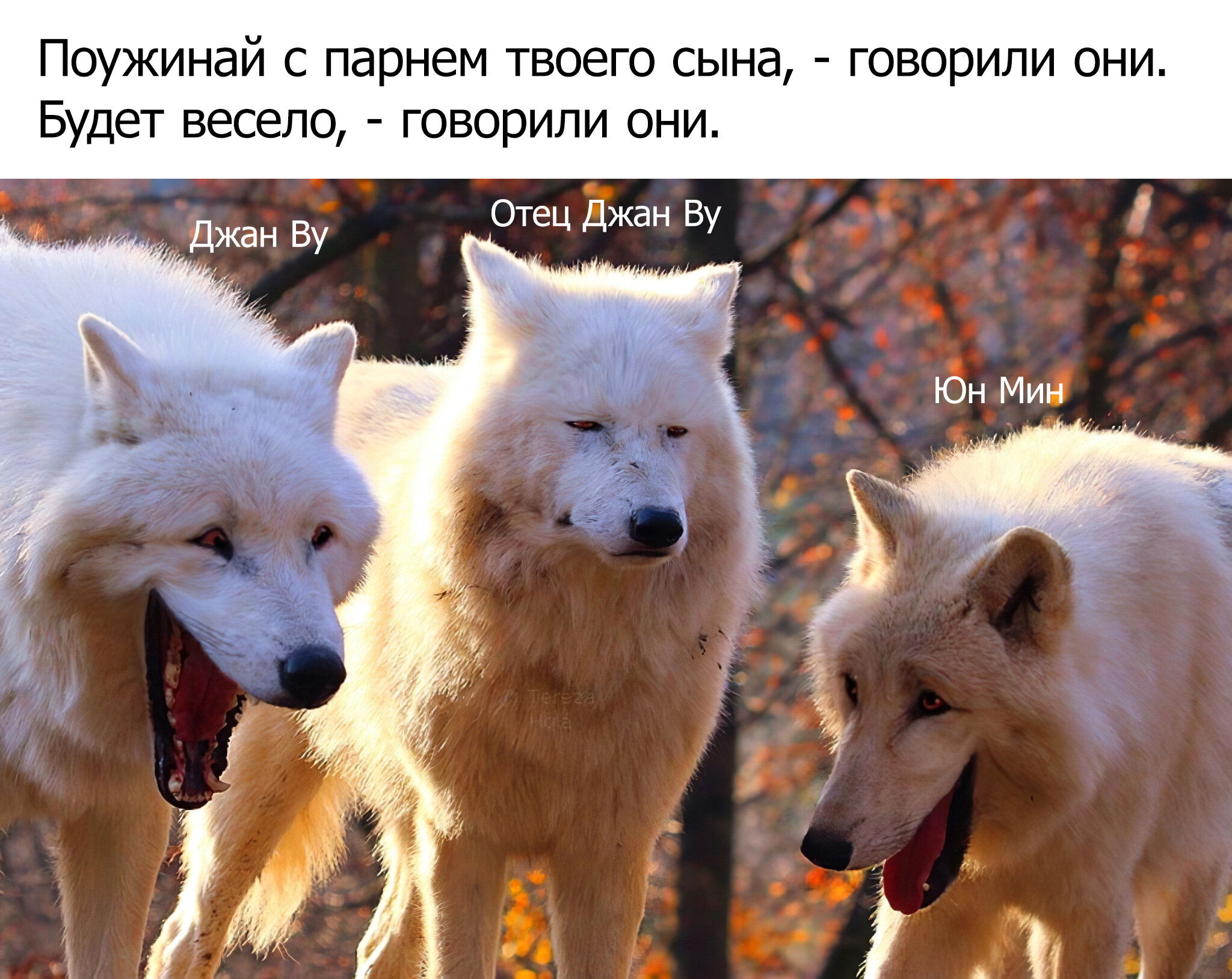 Манга Несахарный Папочка - Глава 69 Страница 12