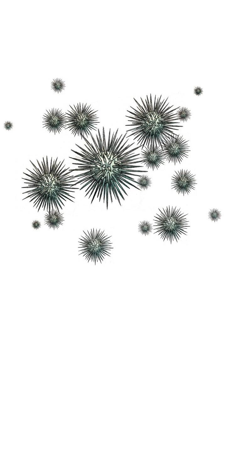 Манга Ребенок Монстр - Глава 61 Страница 105