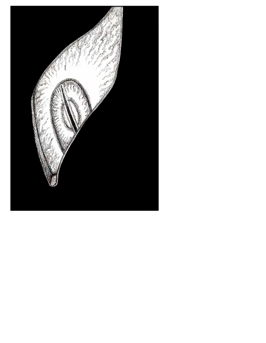 Манга Ребенок Монстр - Глава 57 Страница 33