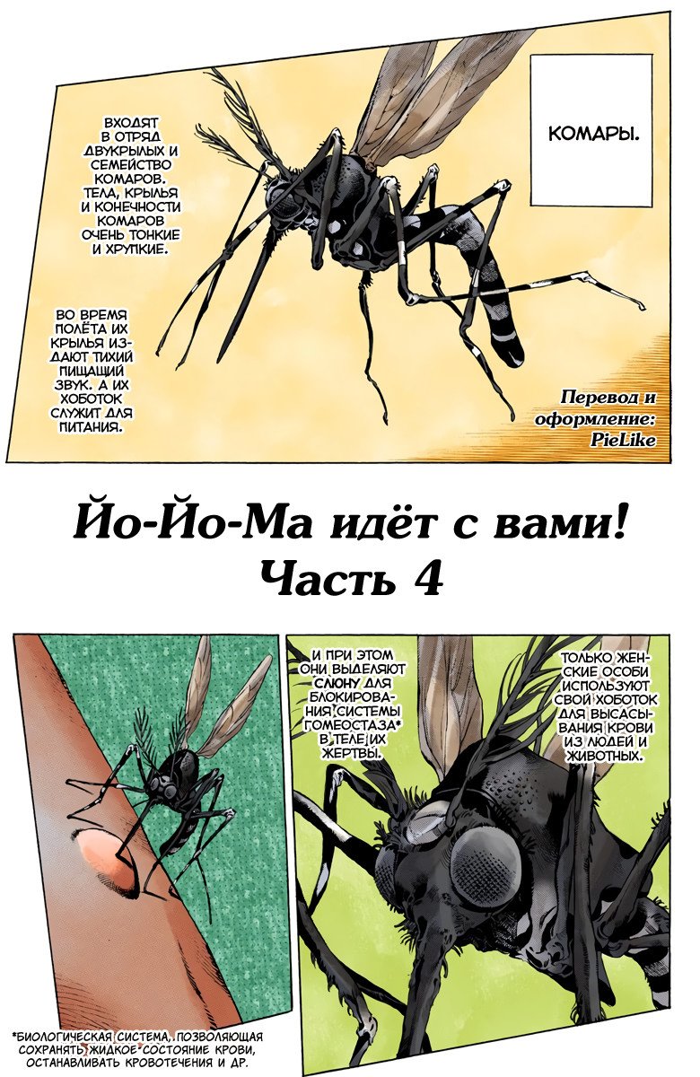Манга Невероятные Приключения ДжоДжо Часть 6: Каменный океан - Глава 81 Страница 1