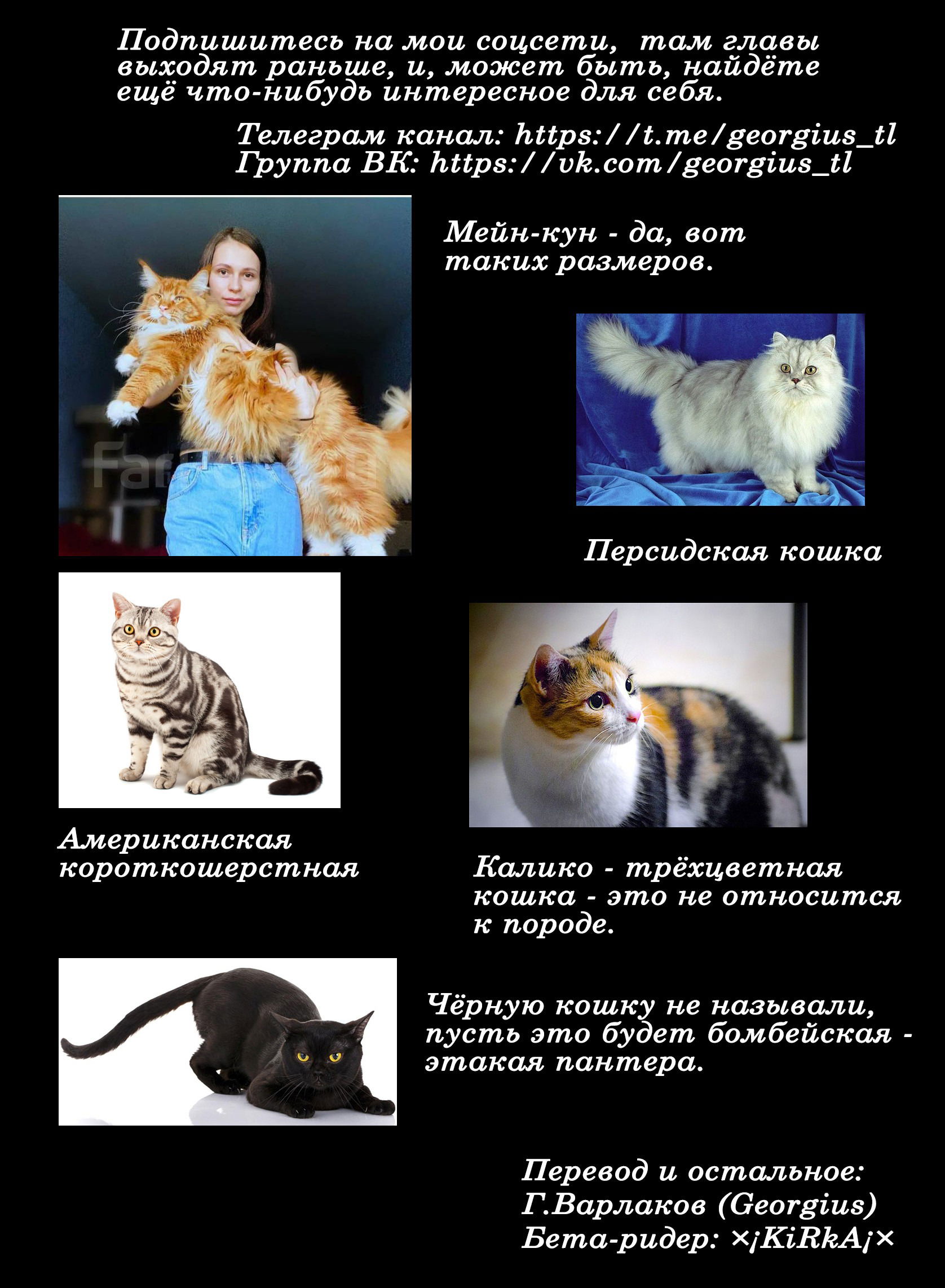Манга Мой сосед Секи-кун - Глава 134 Страница 15