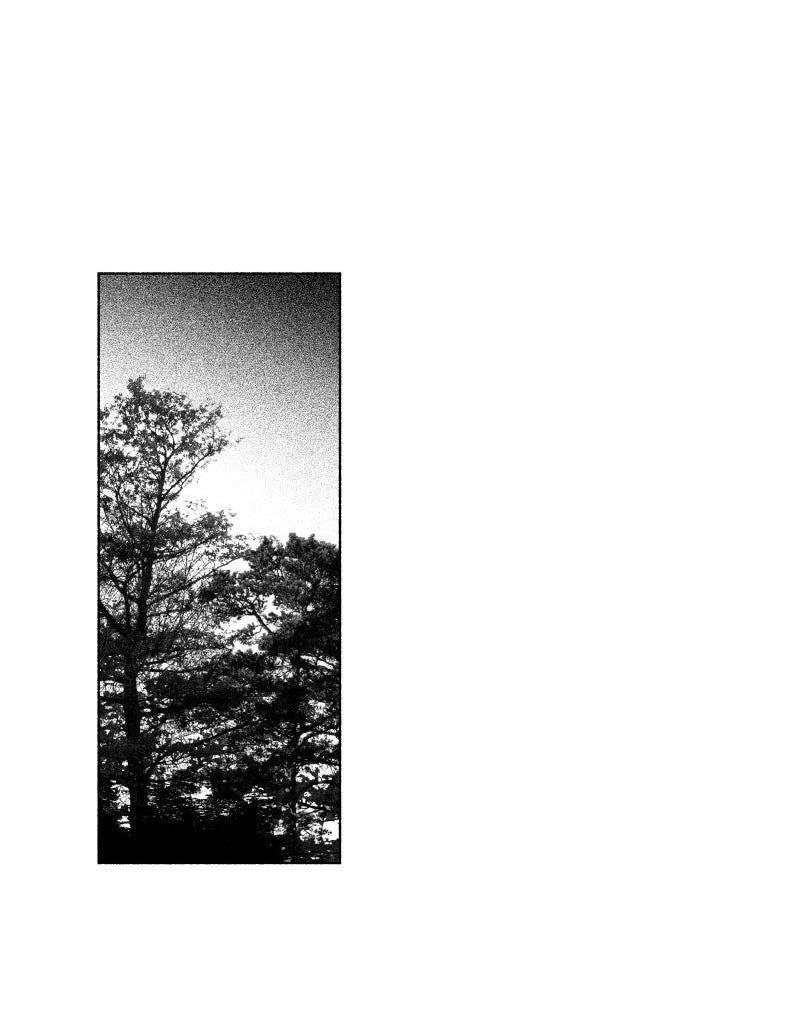 Манга Ноктюрн - Глава 107 Страница 2