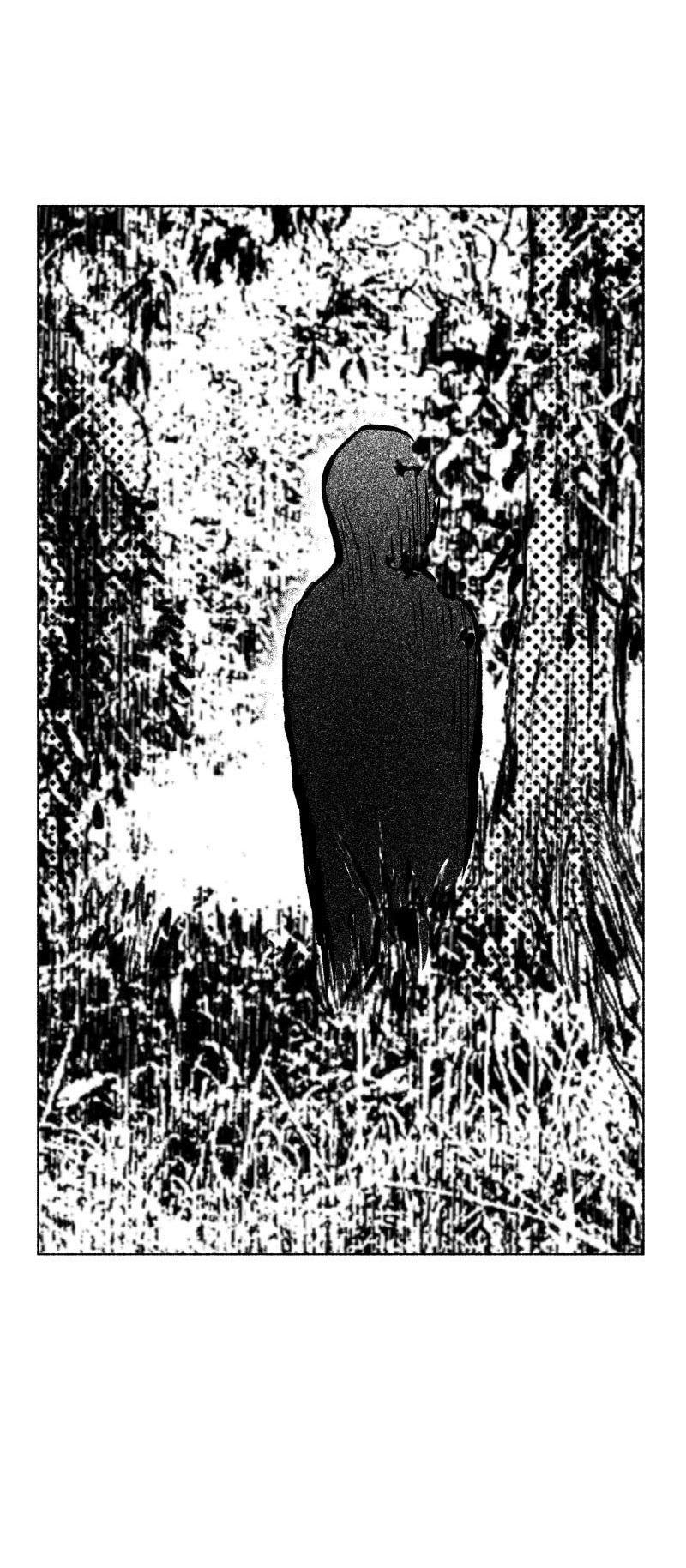 Манга Ноктюрн - Глава 106 Страница 3