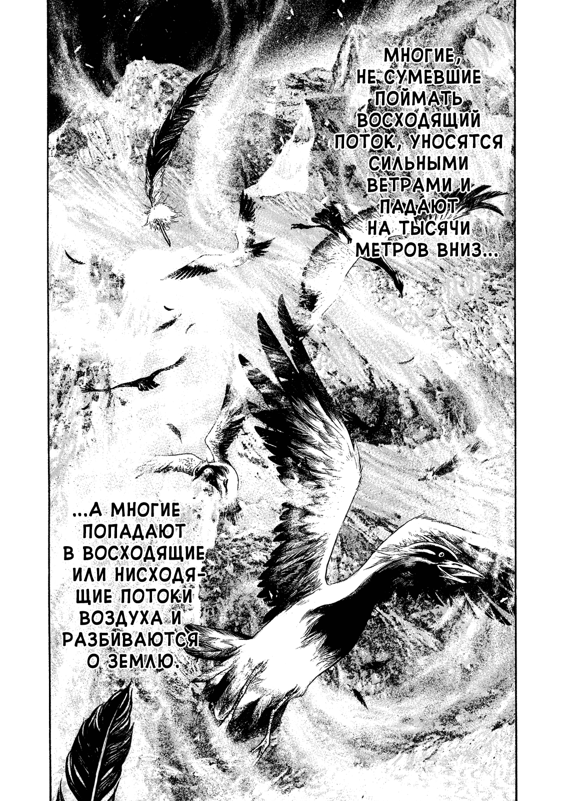 Манга Скалолаз - Глава 168 Страница 12