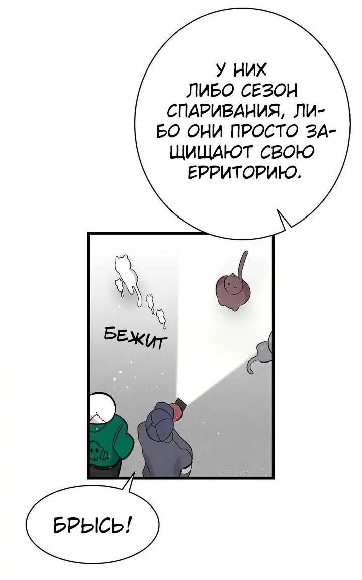 Манга Метаморфоза - Глава 65 Страница 46