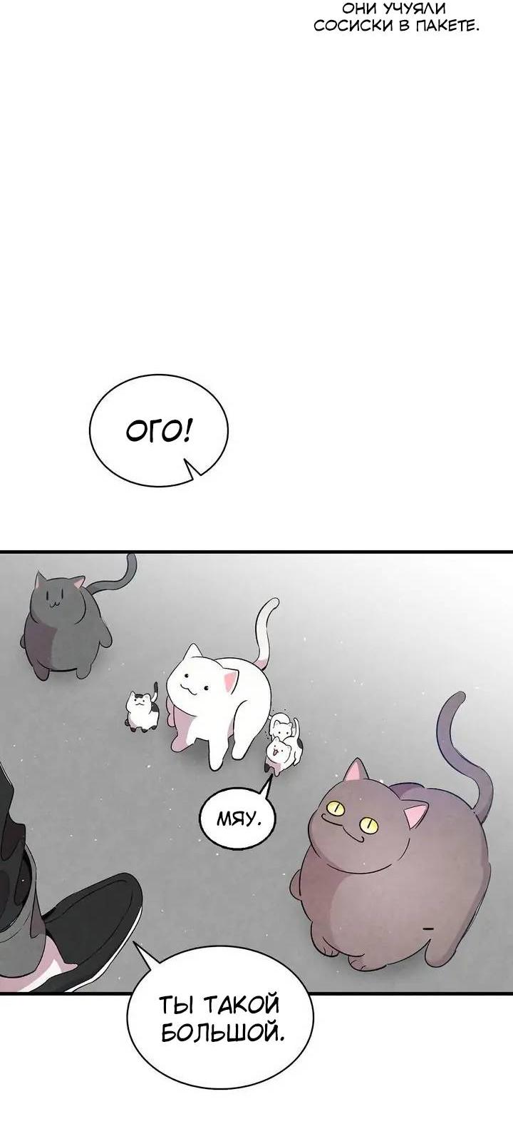Манга Метаморфоза - Глава 65 Страница 40