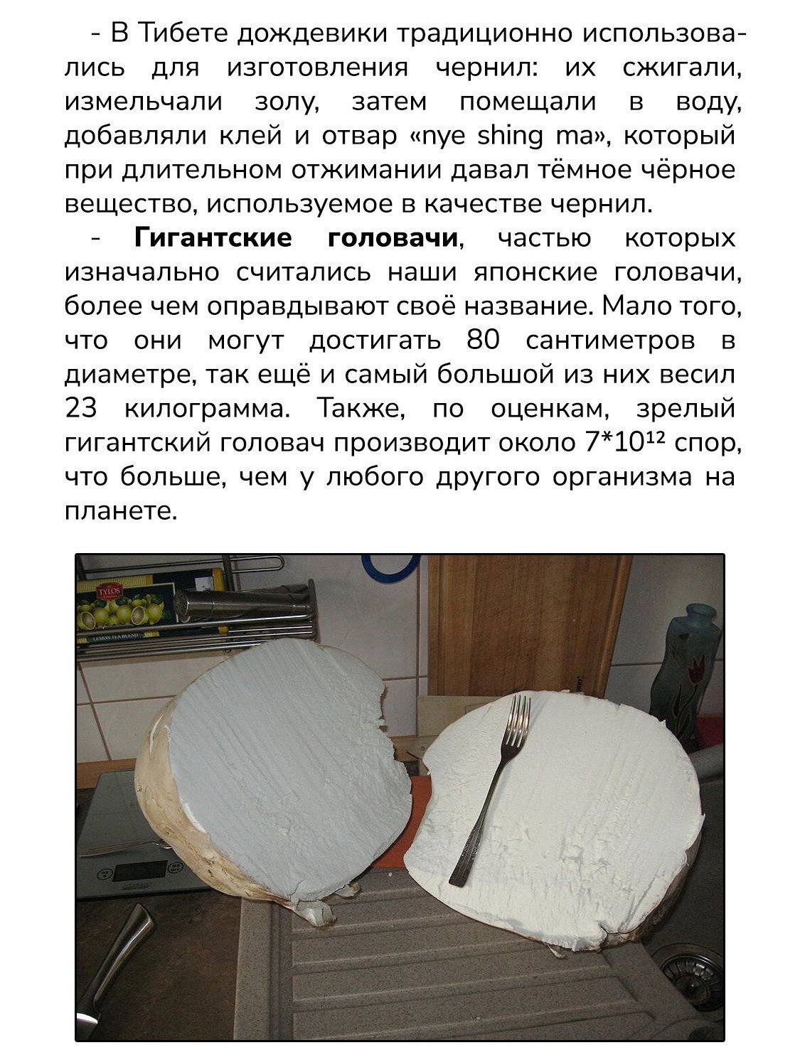 Манга Тохо Суйтёка ~ Опьянение и Протрезвление Лотофагов - Глава 65 Страница 27