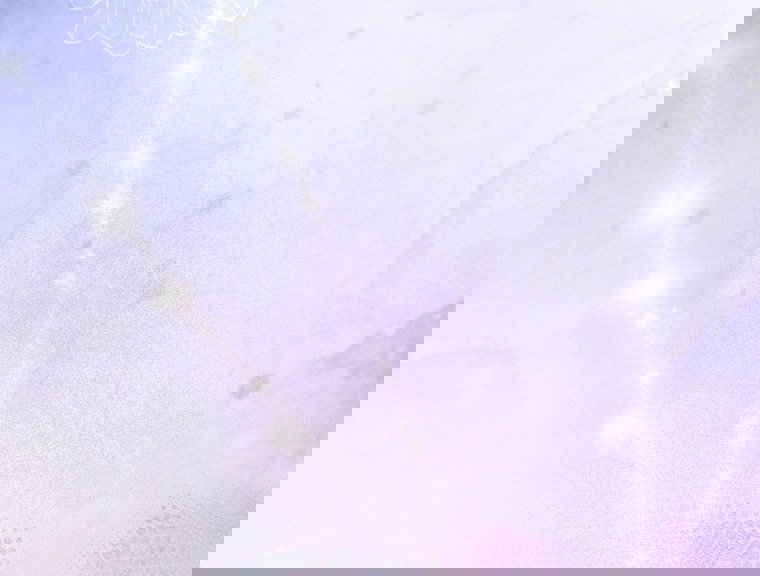 Манга Это не твой ребёнок - Глава 105 Страница 75