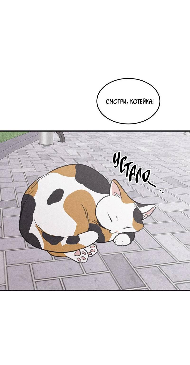 Манга Шах и мат - Глава 111 Страница 17