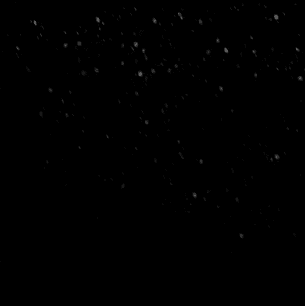 Манга Дело Макса Мохаве - Глава 69 Страница 63