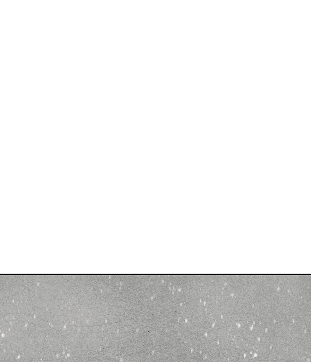 Манга Дело Макса Мохаве - Глава 69 Страница 121