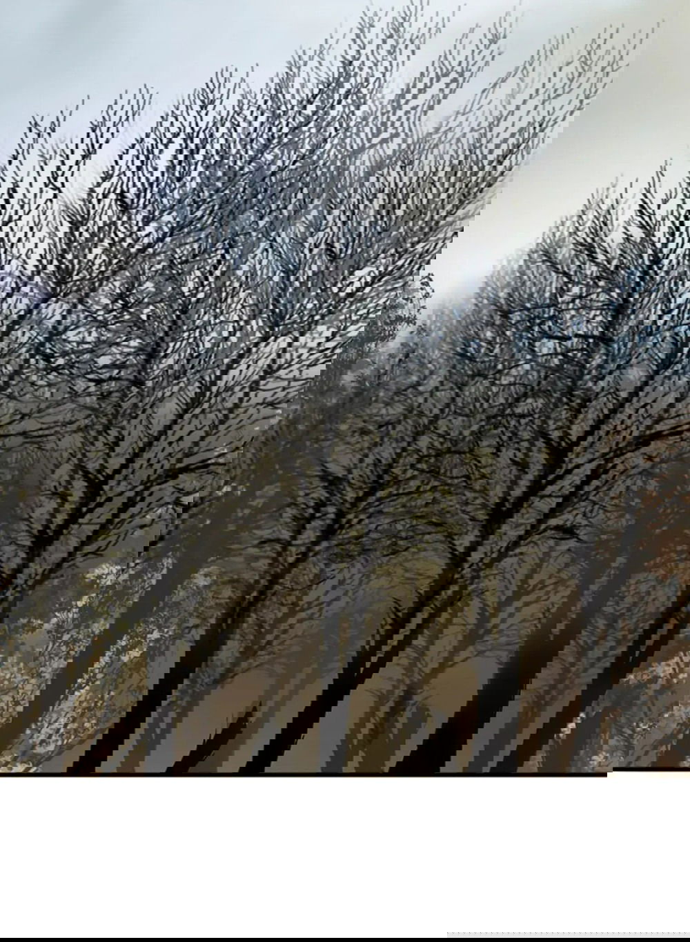 Манга Дело Макса Мохаве - Глава 81 Страница 18