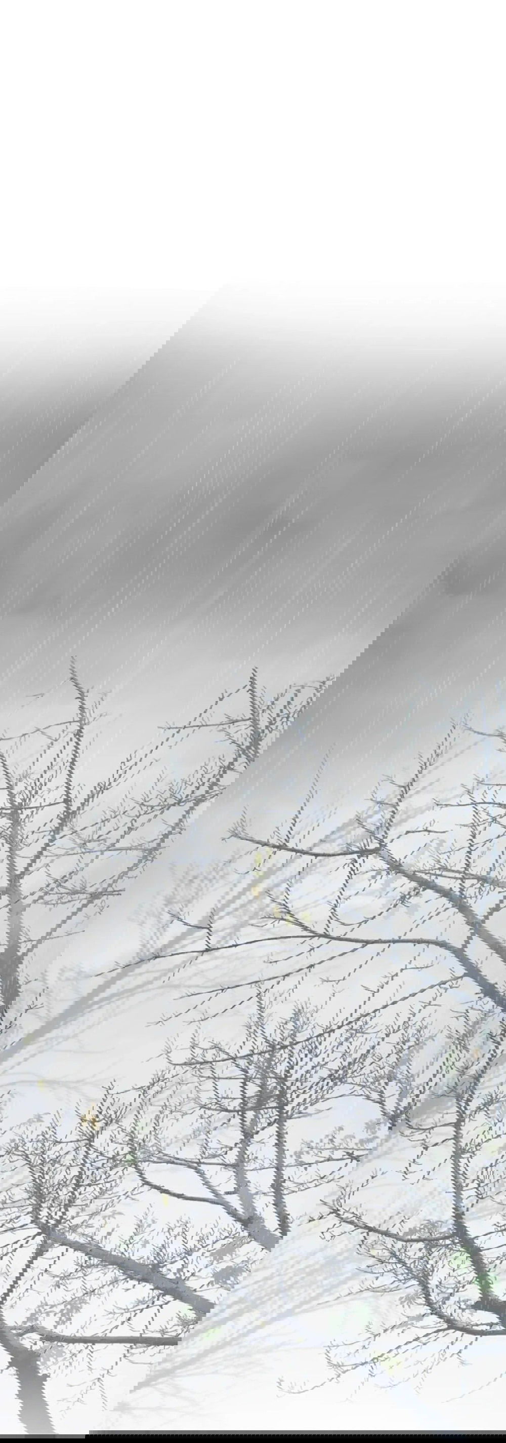 Манга Дело Макса Мохаве - Глава 80 Страница 71