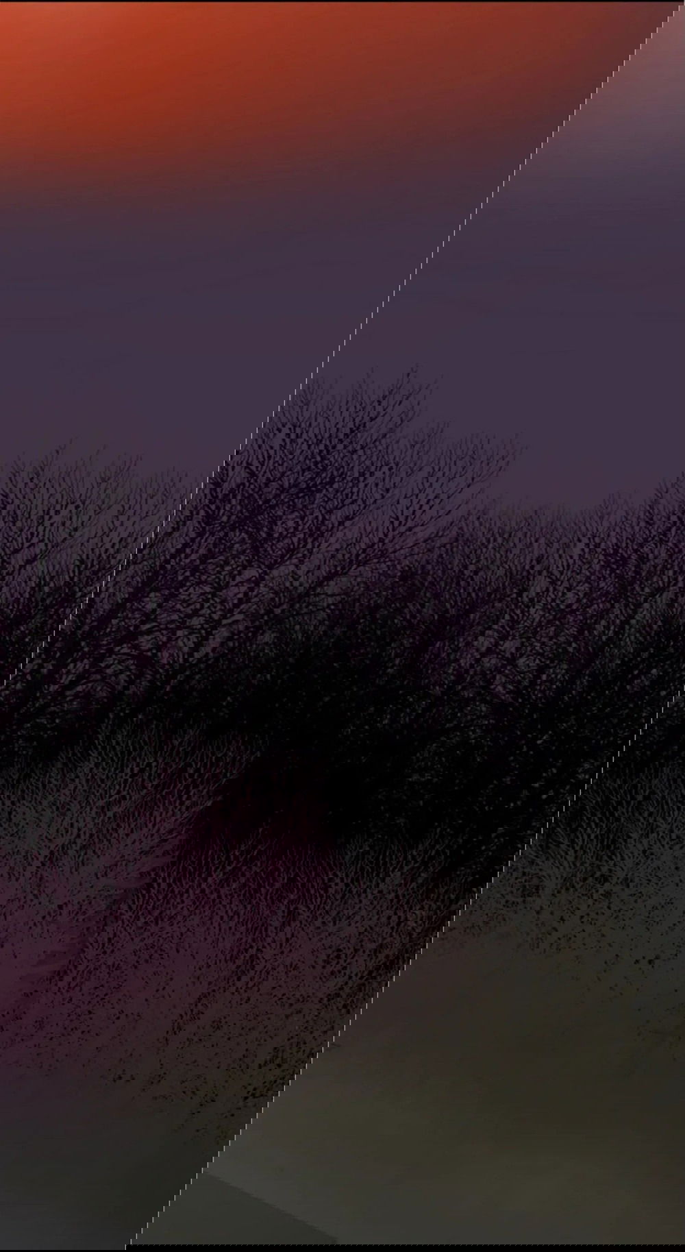 Манга Дело Макса Мохаве - Глава 76 Страница 68