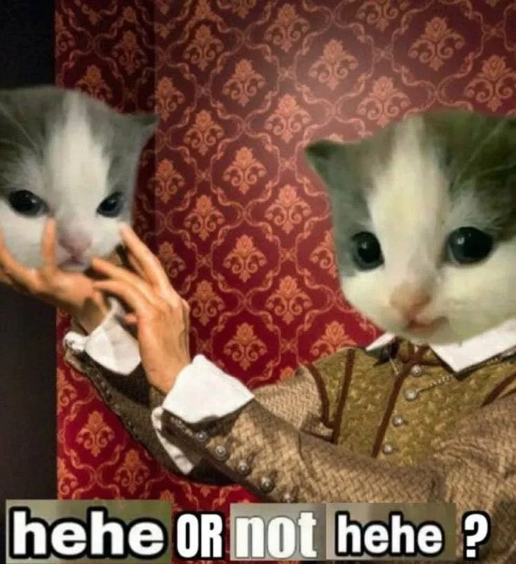 Манга Господин Улитка - Глава 81 Страница 10