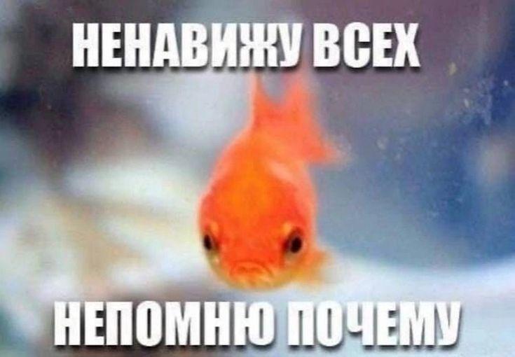 Манга Господин Улитка - Глава 79 Страница 5