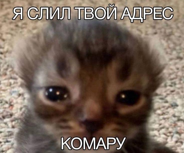 Манга Господин Улитка - Глава 78 Страница 7