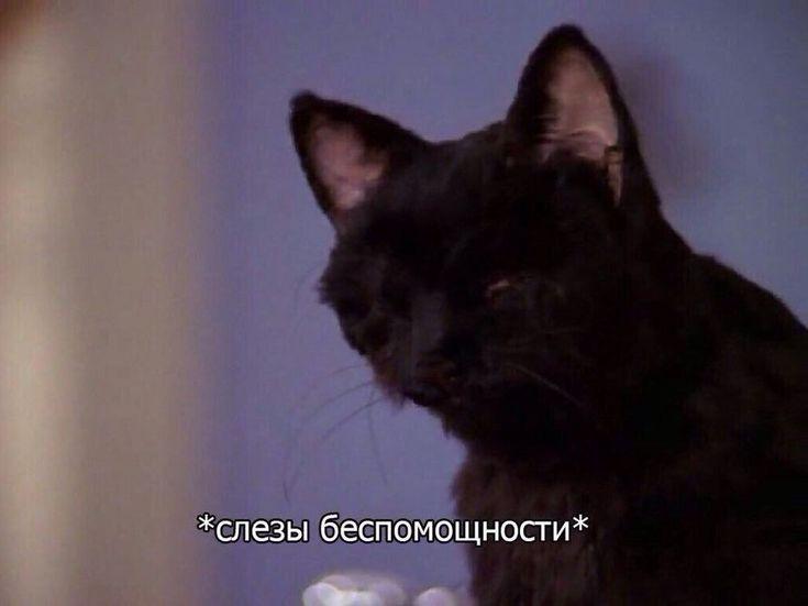 Манга Господин Улитка - Глава 77 Страница 5