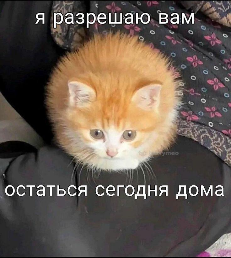 Манга Господин Улитка - Глава 72 Страница 4