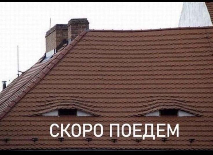 Манга Господин Улитка - Глава 68 Страница 4