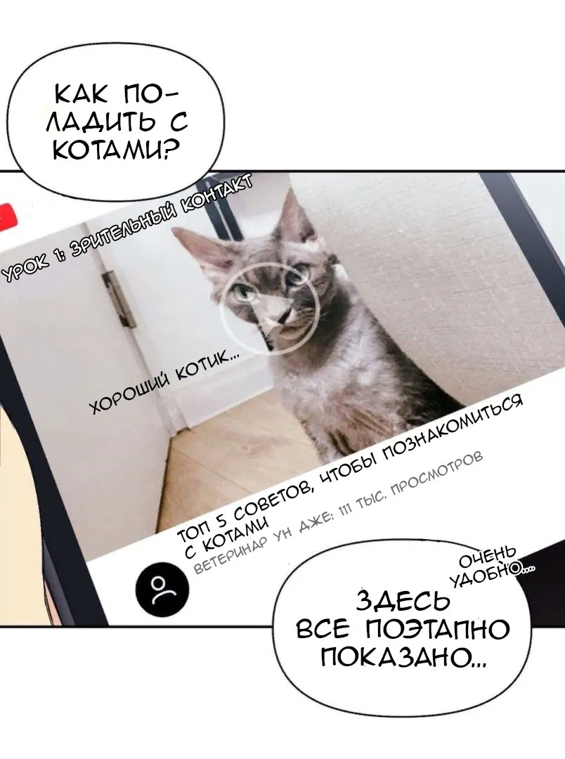 Манга Мой заМУРчательный босс! - Глава 4 Страница 3