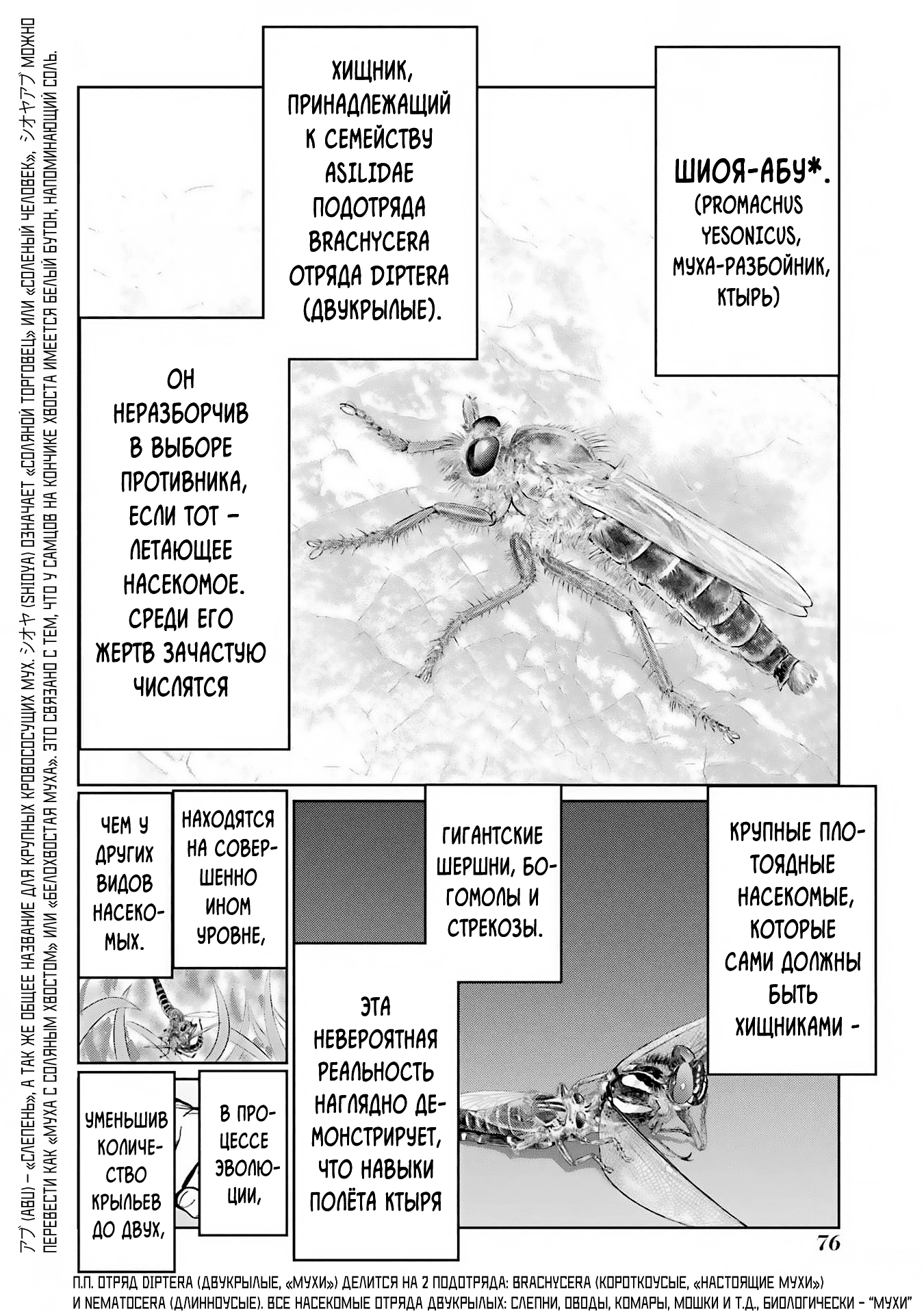 Манга Блаттода - Глава 29 Страница 5