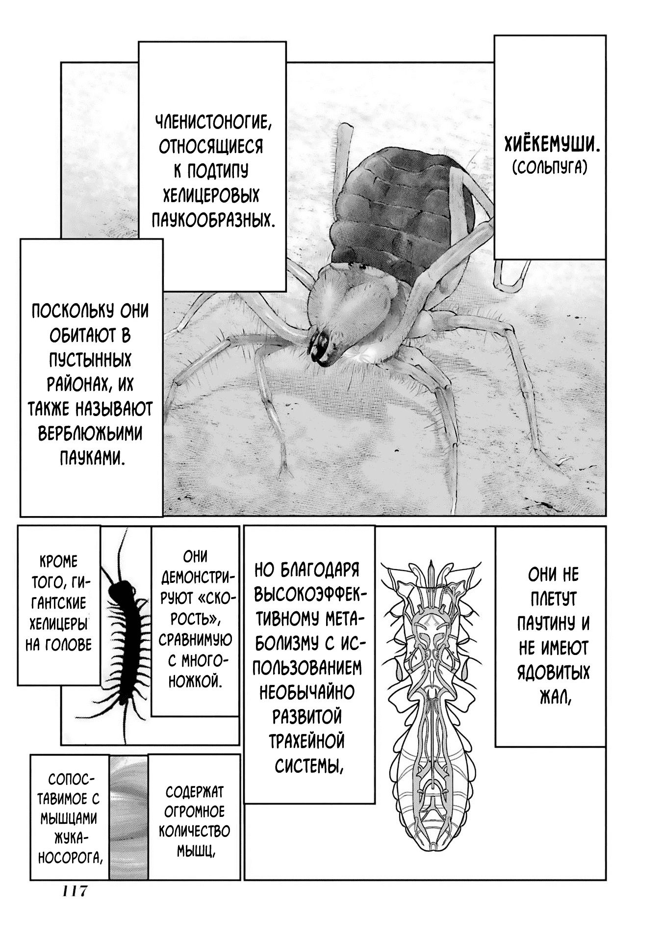 Манга Блаттода - Глава 31 Страница 5