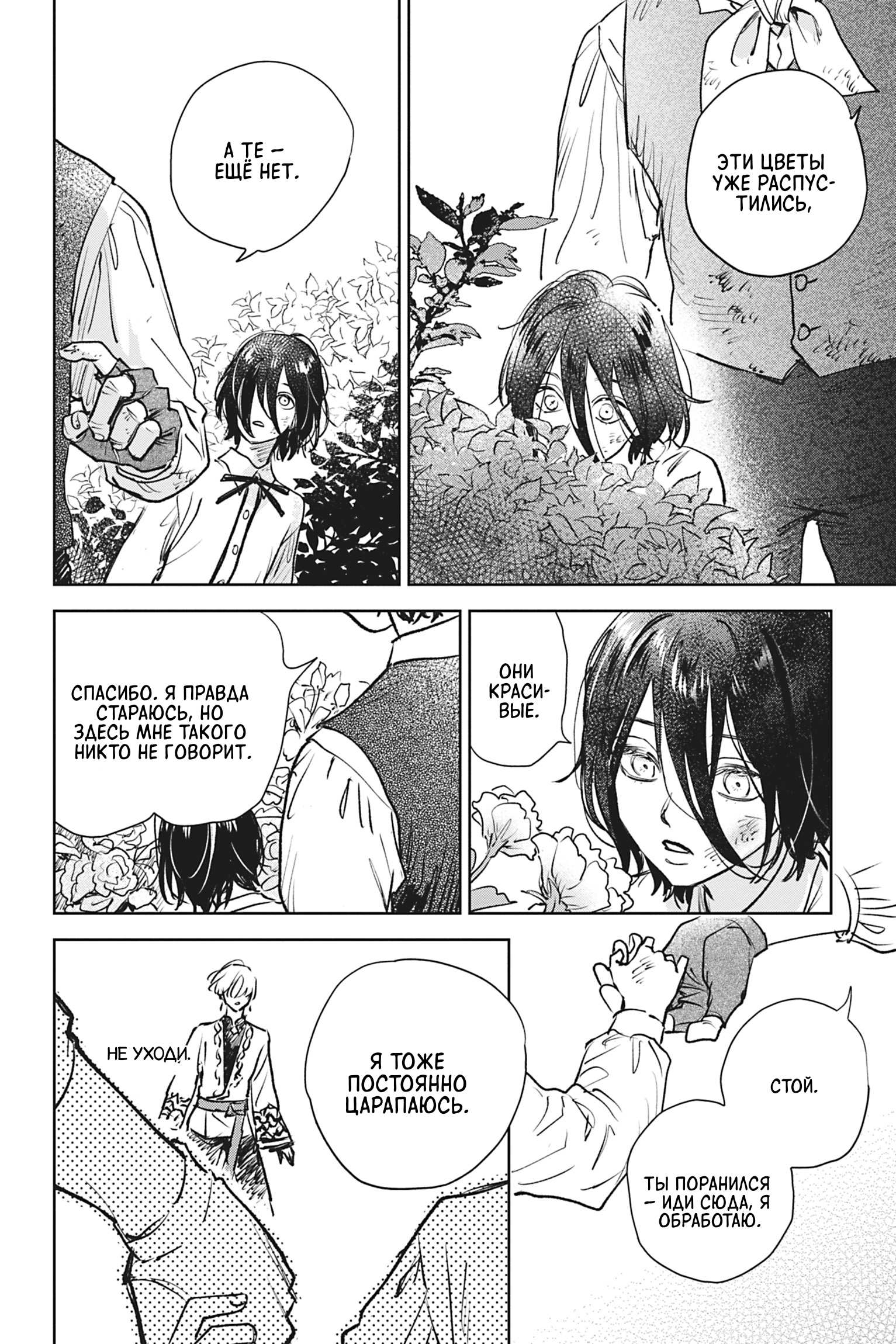 Манга Песнь рассвета - Глава 24 Страница 14