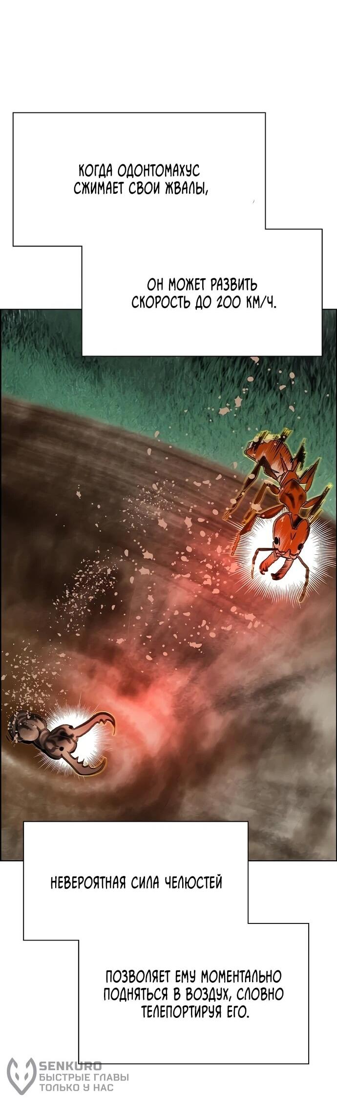 Манга Сок джунглей - Глава 185 Страница 37