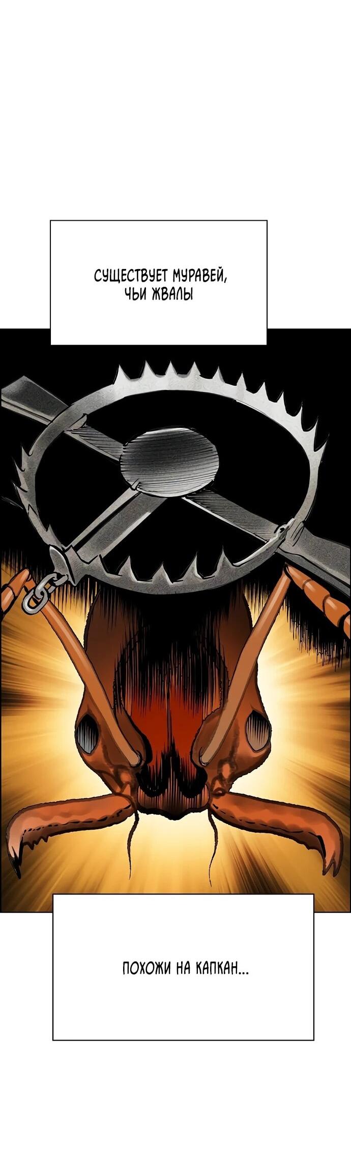 Манга Сок джунглей - Глава 185 Страница 35