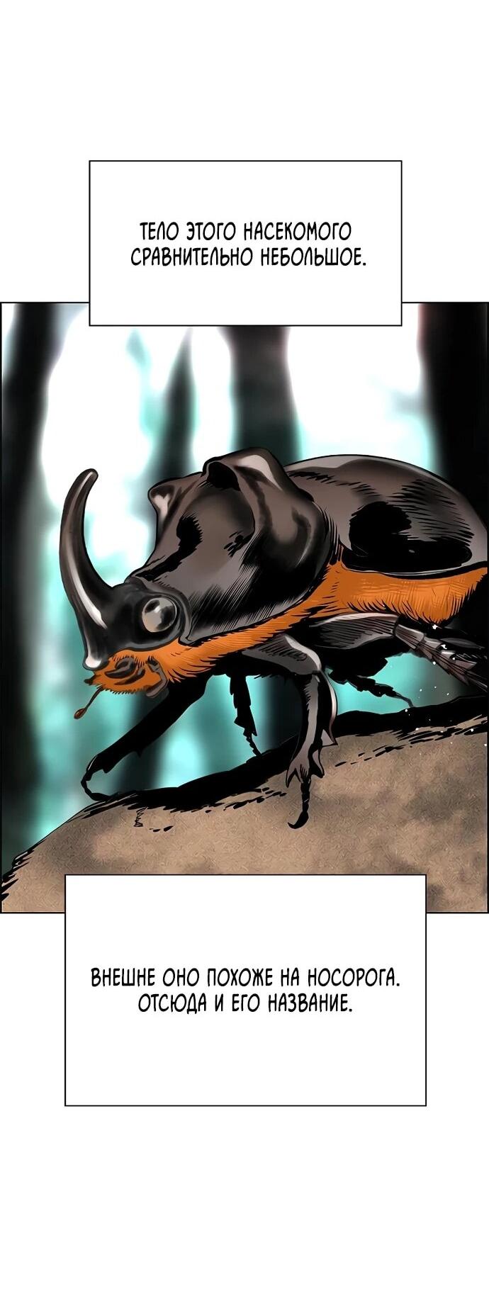 Манга Сок джунглей - Глава 185 Страница 44