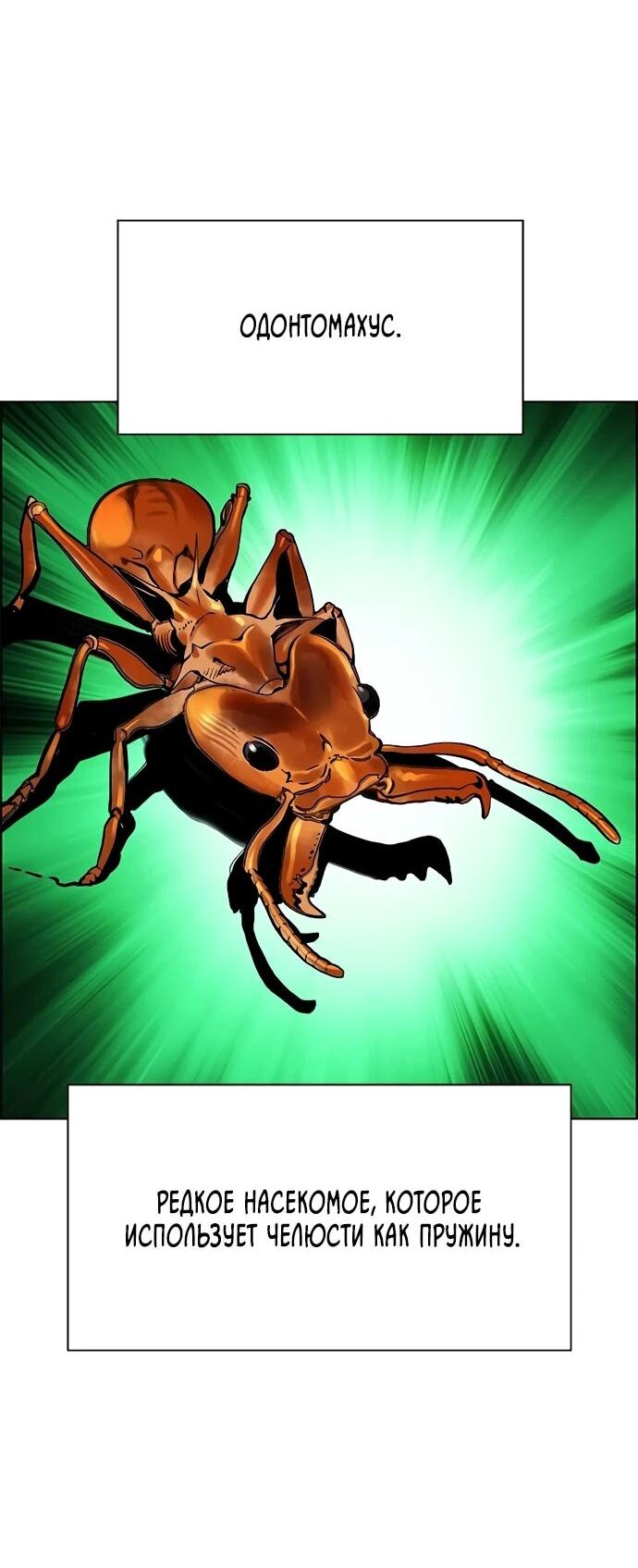 Манга Сок джунглей - Глава 185 Страница 36