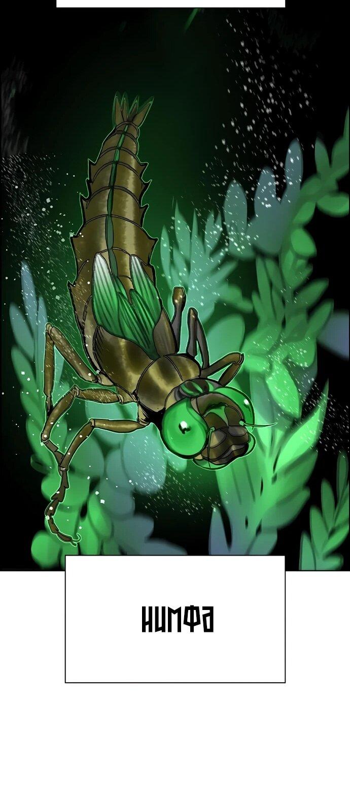 Манга Сок джунглей - Глава 183 Страница 47