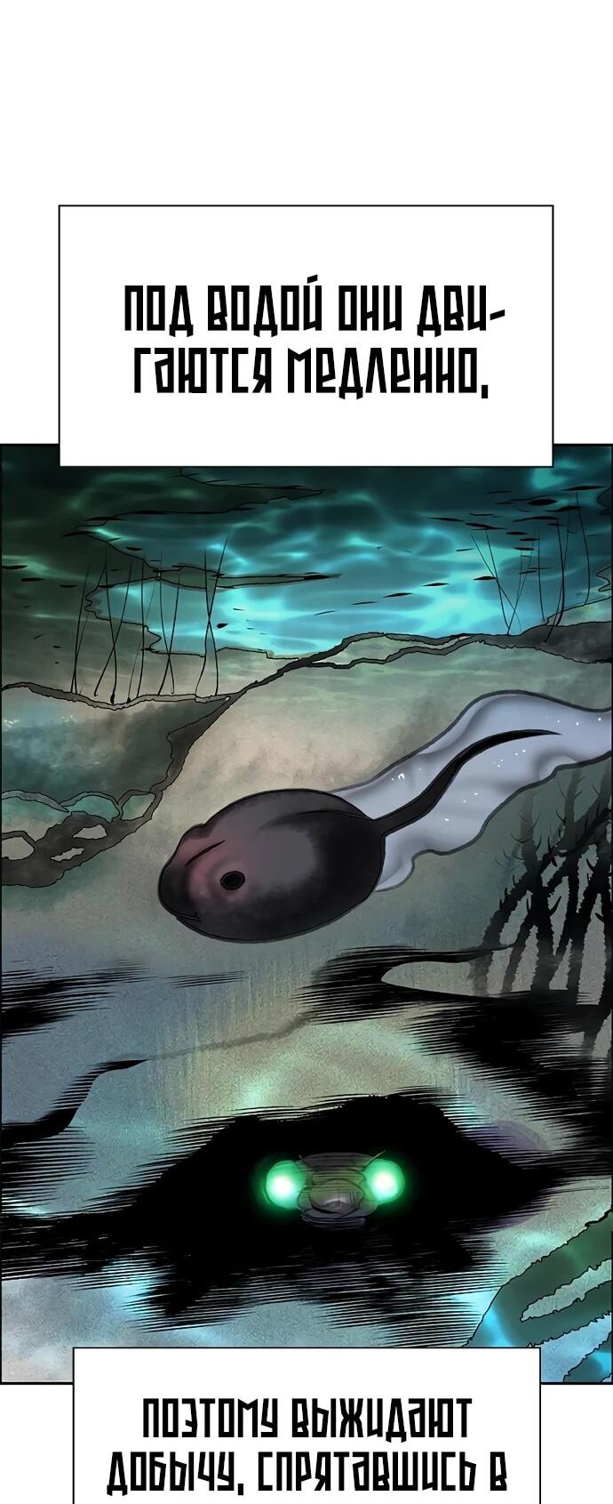 Манга Сок джунглей - Глава 183 Страница 86