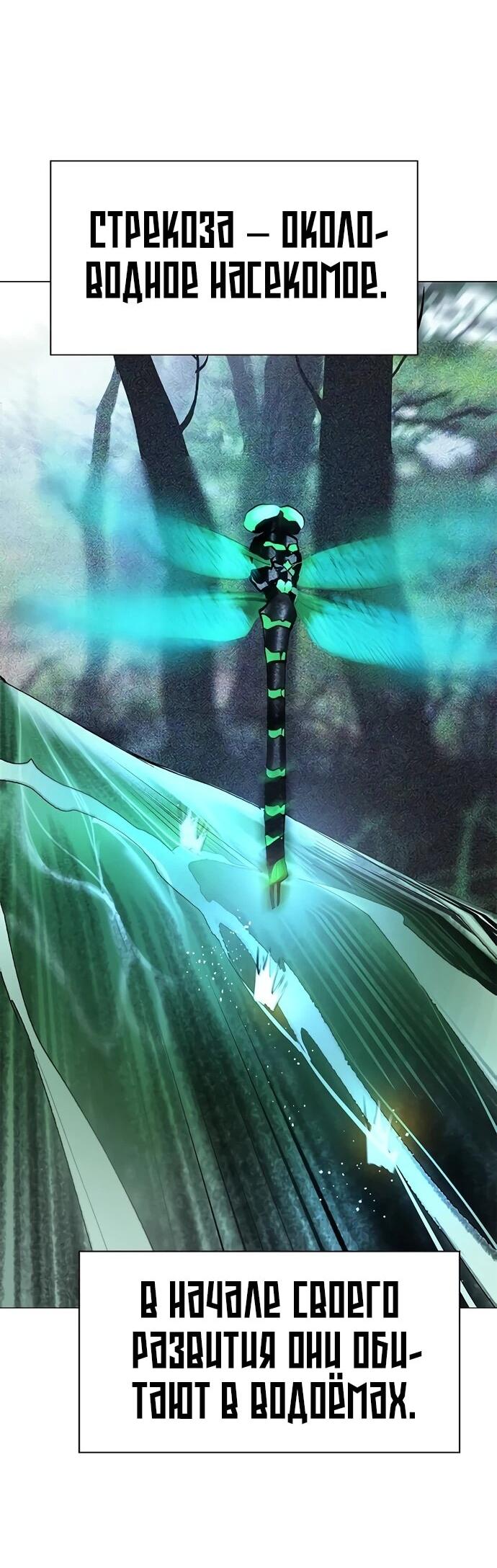 Манга Сок джунглей - Глава 183 Страница 48