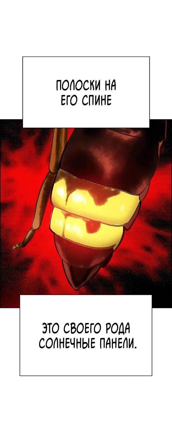 Манга Сок джунглей - Глава 186 Страница 36