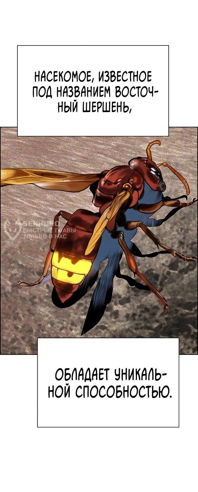 Манга Сок джунглей - Глава 186 Страница 35