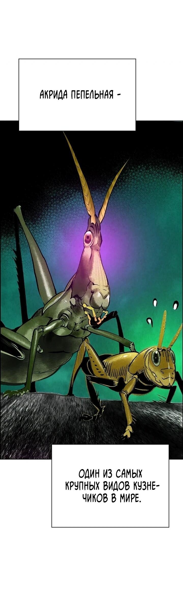 Манга Сок джунглей - Глава 193 Страница 26