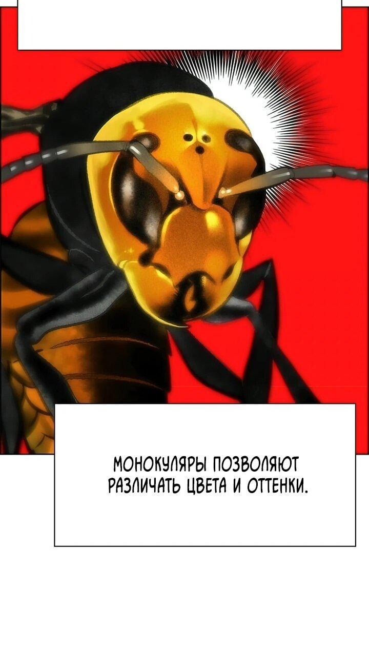 Манга Сок джунглей - Глава 197 Страница 36