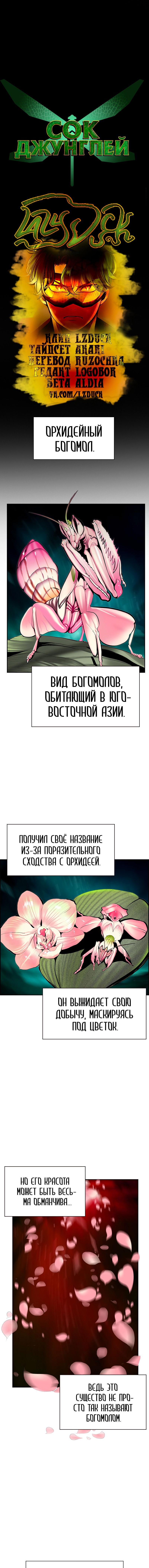 Манга Сок джунглей - Глава 57 Страница 1