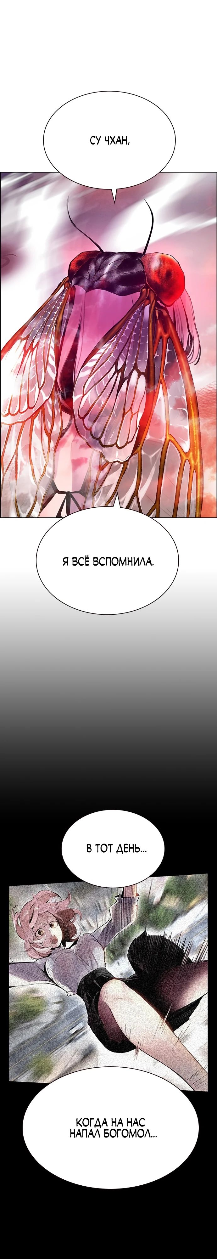 Манга Сок джунглей - Глава 144 Страница 24